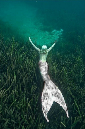 Nosveath és Kinga (sellő, egy testben)